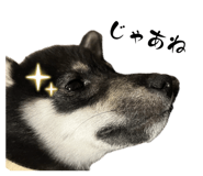 857991146