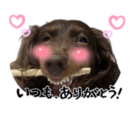 857991698
