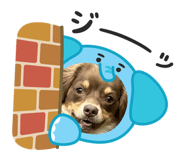857991700