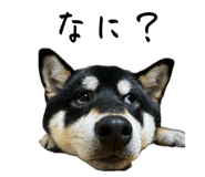 857991721