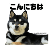 857991724