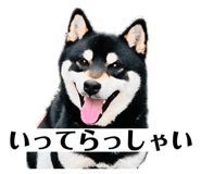 857991725