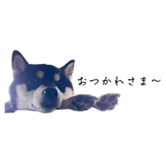 857991729