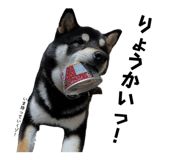 857991732