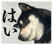 857991738