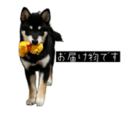 857991757