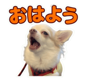 857992601
