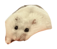 857993529