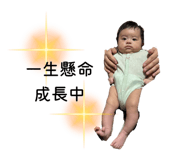 858009393