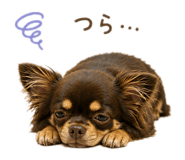 858009455