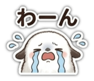 858009464