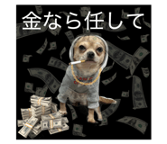 858009550