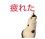 858009850