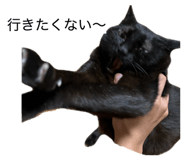 858009851