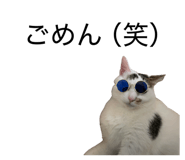 858009854