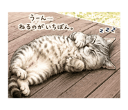 858010204