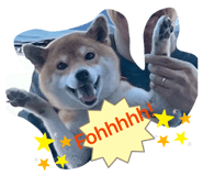 858010353