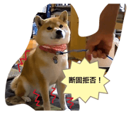 858010355
