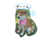 858010356
