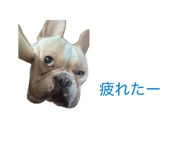 858010362