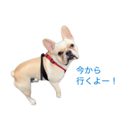 858010363