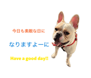 858010364