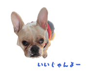 858010365