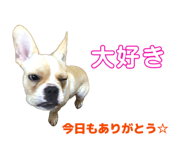 858010368