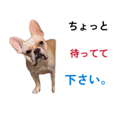 858010372