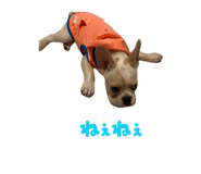 858010374