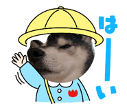 858010429