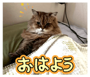 858010435