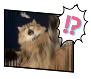 858010447