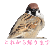 858010515