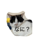 858010650