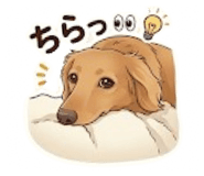 858010715