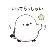 858010888