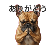 858011035