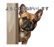 858011038