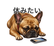 858011048
