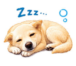 858012609