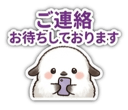 858012698