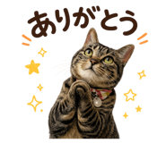 858013279