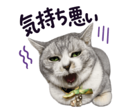 858013292