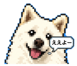 858013335