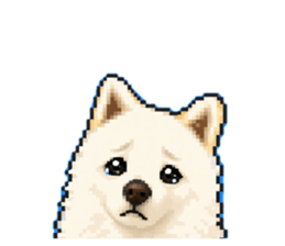 858013336