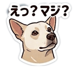 858013590