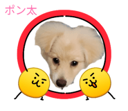 858014081