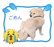 858014082