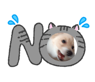 858014085